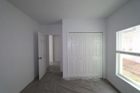 New construction Single-Family house 38350 Tobiano Loop, Dade City, FL 33525 Cabo- photo 120 120