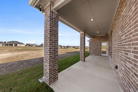 New construction Single-Family house 431 Paradise Ridge Dr, Waxahachie, TX 75167 - image 4
