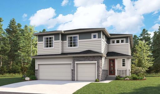 New construction Single-Family house 904 Steppe Ln, Windsor, CO 80550 null- photo 3 3