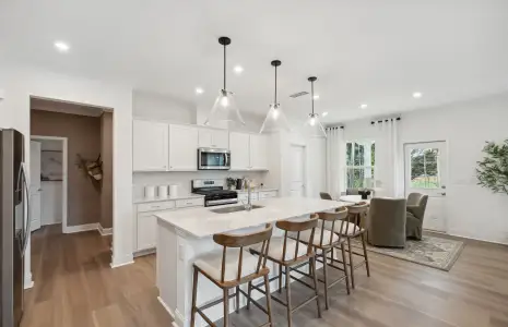 New construction Single-Family house 117 Jane Blvd, Cartersville, GA 30120 plan Frazier - image 3