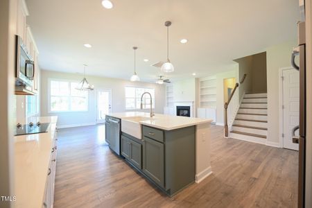 New construction Single-Family house 281 Abingdon Farms Drive, Selma, NC 27576 Buckhorn- photo 18 18