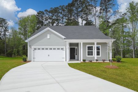 New construction Single-Family house 424 Meadow Sweet Pl, Conway, SC 29526 plan Gwinnett II - image