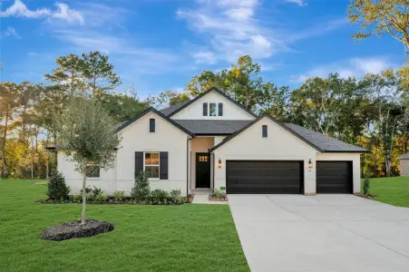 New construction Single-Family house 131 Roebuck Ln, New Waverly, TX 77358 plan Belfast ESP - image