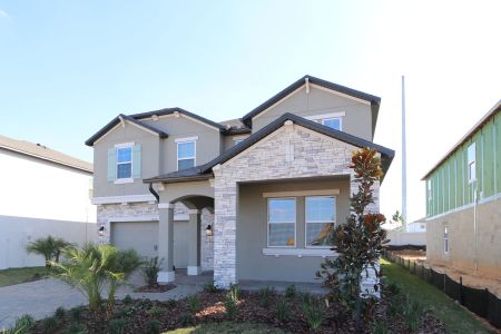 New construction Single-Family house 38326 Tobiano Loop, Dade City, FL 33525 Casanova- photo 115 115