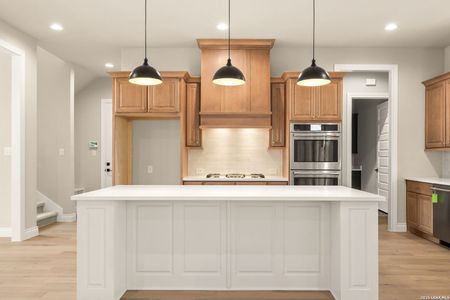 New construction Single-Family house 429 Eider Cv, Spring Branch, TX 78070 - image 10