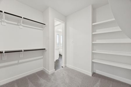 New construction Single-Family house 8818 Incandesce Rise Dr, Richmond, TX 77406 plan The Cooper - image 16