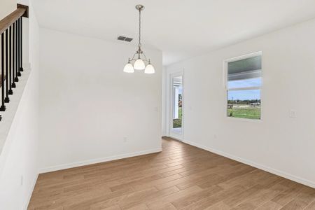 New construction Single-Family house 30129 Misty Pines Road Mt, Mount Dora, FL 32757 plan Duval II - image 18