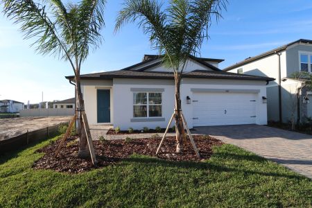 New construction Single-Family house 3087 Adams Cross Dr, Zephyrhills, FL 33540 Picasso Bonus- photo 141 141