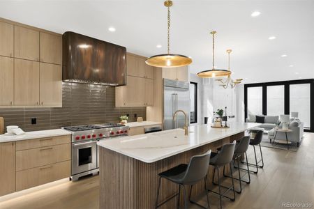 New construction Duplex house 411 Madison St, Denver, CO 80206 - image 14