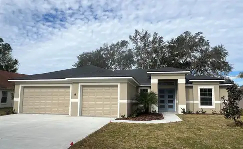 New construction Single-Family house 9 Evanston Ln, Palm Coast, FL 32164 - image