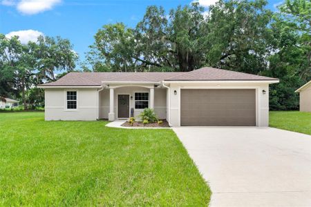 New construction Single-Family house 509 Mulberry Street, Fruitland Park, FL 34731 - photo 0