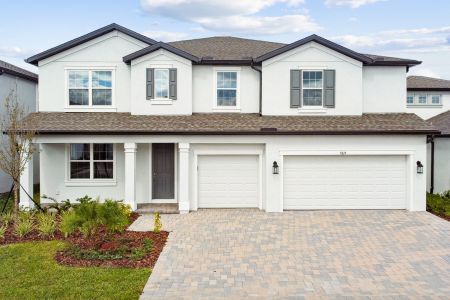 New construction Single-Family house 7819 Notched Pine Bnd, Wesley Chapel, FL 33545 Windsor- photo 80 80