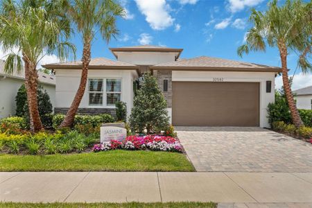 New construction Single-Family house 3511 Malta Ave, Wesley Chapel, FL 33543 Jasmine- photo 0