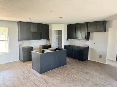 New construction Single-Family house 163 Agnes Cir, Springtown, TX 76082 - image 3