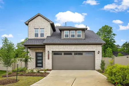 New construction Single-Family house 15319 Mountain Plover Pl, Magnolia, TX 77354 - image