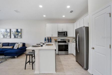 New construction Townhouse house 11718 Blackbrook Ct, Seffner, FL 33584 null- photo 11 11