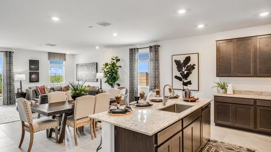 Sycamore Canyon: Inspiration Collection 12