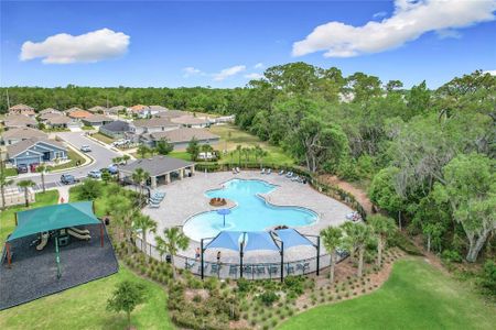 New construction Single-Family house 1304 Berry Ln, Davenport, FL 33837 null- photo 53 53