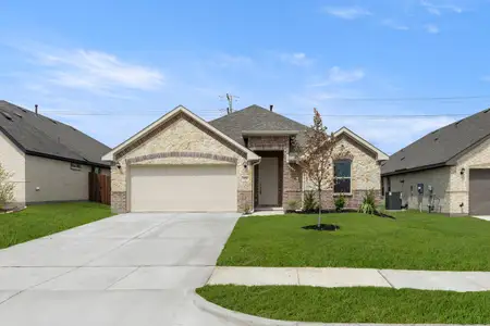 New construction Single-Family house 121 Whistling Duck Dr, Balch Springs, TX 75181 plan Chester - image