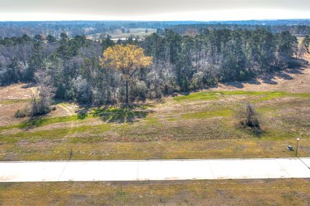 New construction Single-Family house 6 Homestead Hill Rd, New Waverly, TX 77358 - image 11