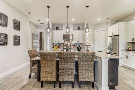 New construction Single-Family house 14224 Lons Pl, Jacksonville, FL 32226 plan Belmar - image 7