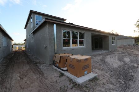 New construction Single-Family house 20243 Oriana Loop, Land O' Lakes, FL 34638 Corina  III Bonus- photo 85 85