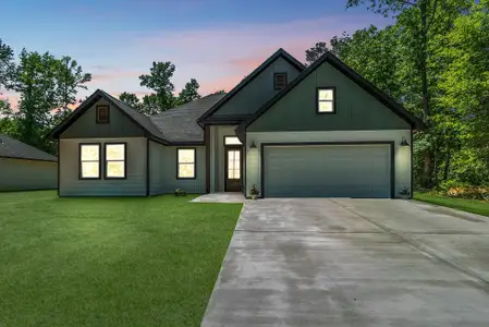 New construction Single-Family house 244 Fawn Dr, Livingston, TX 77351 - image