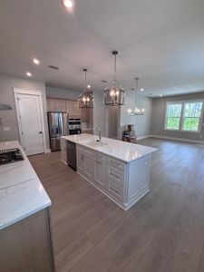 New construction Single-Family house 70 B Suwannee Dr, Inlet Beach, FL 32461 plan Lucas - image