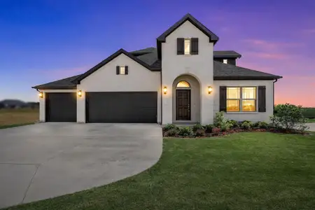 New construction Single-Family house 412 Mcalpine Dr, Springtown, TX 76082 - image