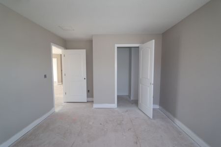 New construction Single-Family house 20050 Oriana Loop, Land O' Lakes, FL 34638 Santa Monica- photo 79 79