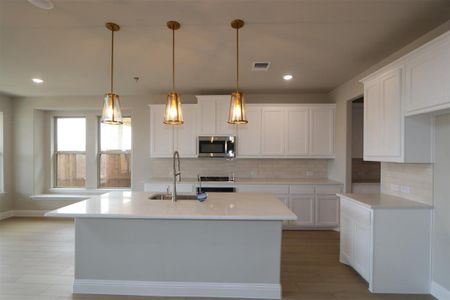 New construction Single-Family house 6858 Tadpole Trl, McKinney, TX 75071 Balcones- photo 5 5