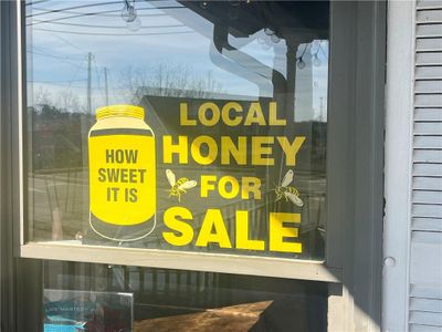 New construction Single-Family house 229 Legacy Downs Dr, Canton, GA 30115 - image 18