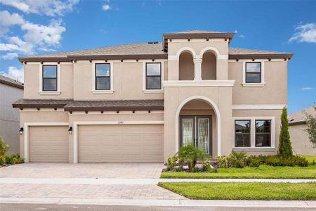 New construction Single-Family house 13141 Twin Bridges Drive, Riverview, FL 33578 - photo 0