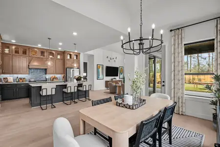 New construction Single-Family house 20046 Sunset Serenade Trl, Cypress, TX 77433 plan The Lavender - image 5