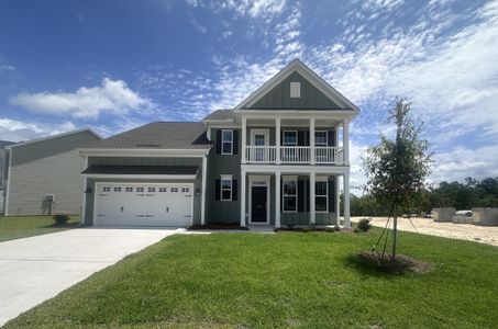 New construction Single-Family house 442 Persimmon Hill Rd, Blythewood, SC 29016 plan Nottely - image