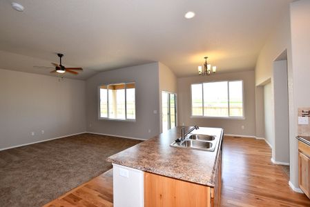 New construction Single-Family house 437 Vivid Ln, Windsor, CO 80550 null- photo 18 18