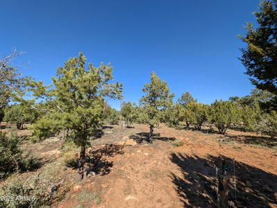 New construction Single-Family house 7267 Red Feather Ct, Happy Jack, AZ 86024 - image 11