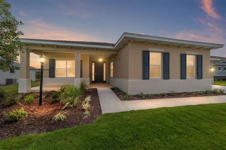New construction Single-Family house 10008 Sw 106Th Cir, Ocala, FL 34481 plan Magnolia - image