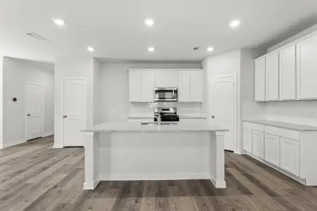 New construction Single-Family house 26211 Venus Trap Trl, Katy, TX 77493 plan Mulberry - image 3