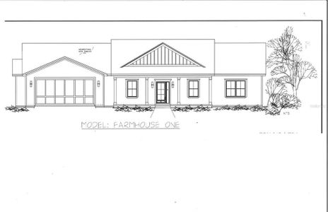 New construction Single-Family house Co Rd 466, Oxford, FL 34484 - photo 0