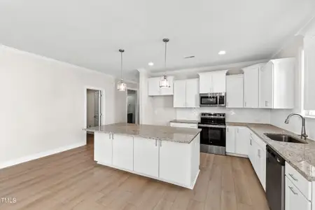 New construction Single-Family house 235 Sequoia Dr, Louisburg, NC 27549 - image