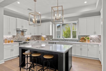 New construction Single-Family house 2127 Quiet Stables Cir, Cedar Park, TX 78613 Martin- photo 16 16
