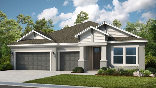 New construction Single-Family house 3402 James L Redman Pkwy, Plant City, FL 33565 plan Maui - image