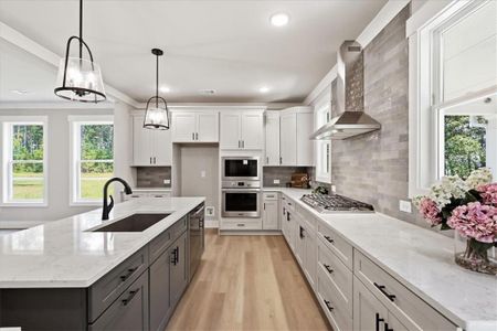 New construction Single-Family house 327 Springtime Wy, Monroe, GA 30655 - image 19