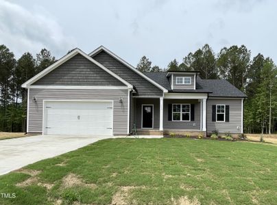 New construction Single-Family house 216 Sourgum Court, Zebulon, NC 27597 - photo 0