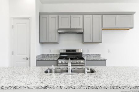 New construction Single-Family house 3606 Palmwood Ter, San Antonio, TX 78222 - image 7