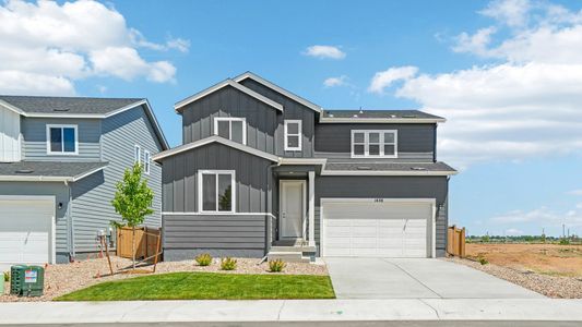 New construction Single-Family house 1436 Boyle St, Windsor, CO 80550 plan St. James - Premier - image