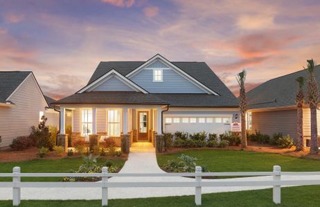 New construction Single-Family house 28 Scarlet Sage Dr, Bluffton, SC 29910 plan Palmary - image