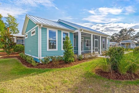 New construction Single-Family house 12176 Grand Oak Lane, Wildwood, FL 34484 - photo 1 1