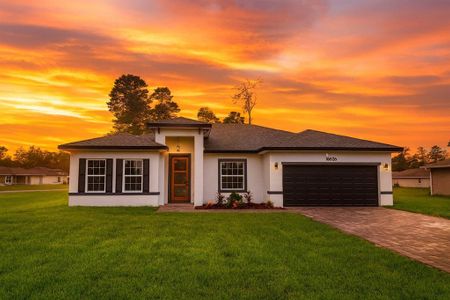 New construction Single-Family house 16626 Sw 31St Cir, Ocala, FL 34473 - image